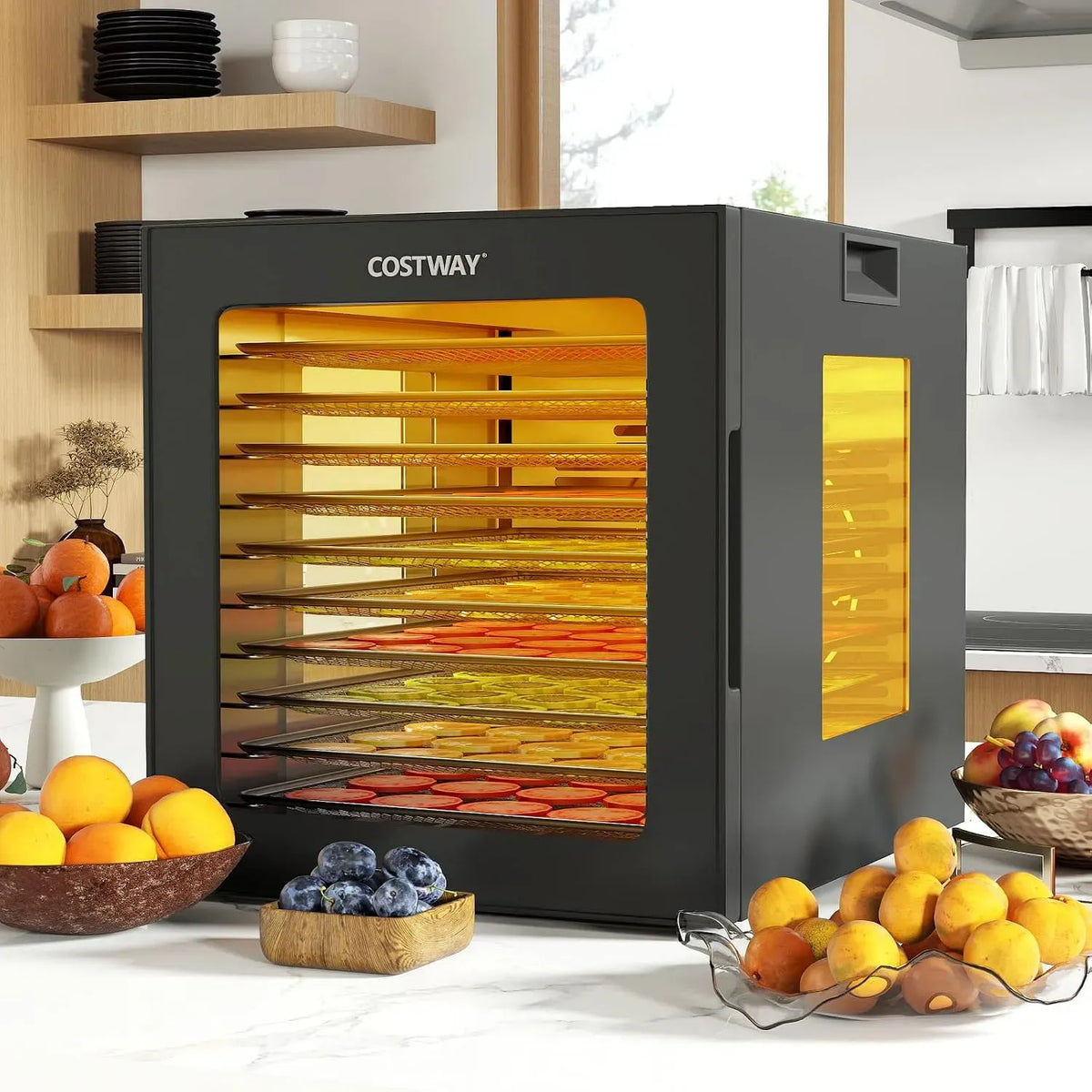 déshydrateur alimentaire, Machine, 35 à 75 °C, acier inoxydable, noir, pour Sécher Fruits, GOPLUS