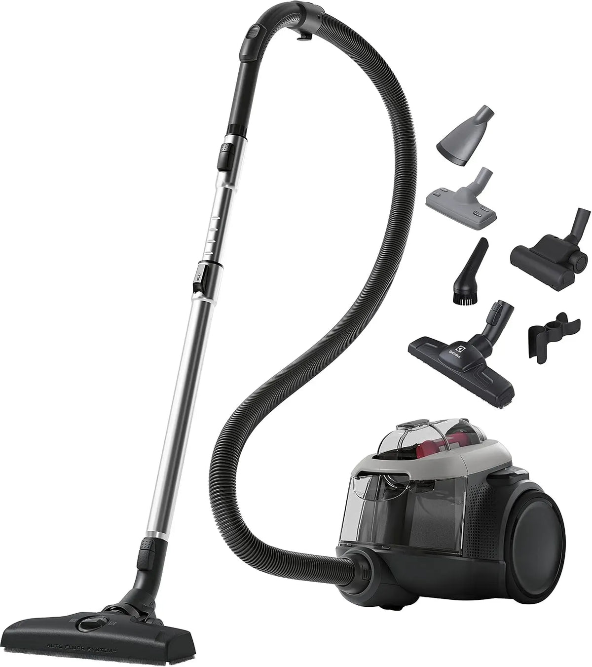 Electrolux EL61A4UG Aspirateur, gris, Animal 600, 6 étapes de Filtration